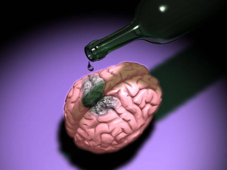Как можно восстановить память при отравлении головного мозга алкоголем?