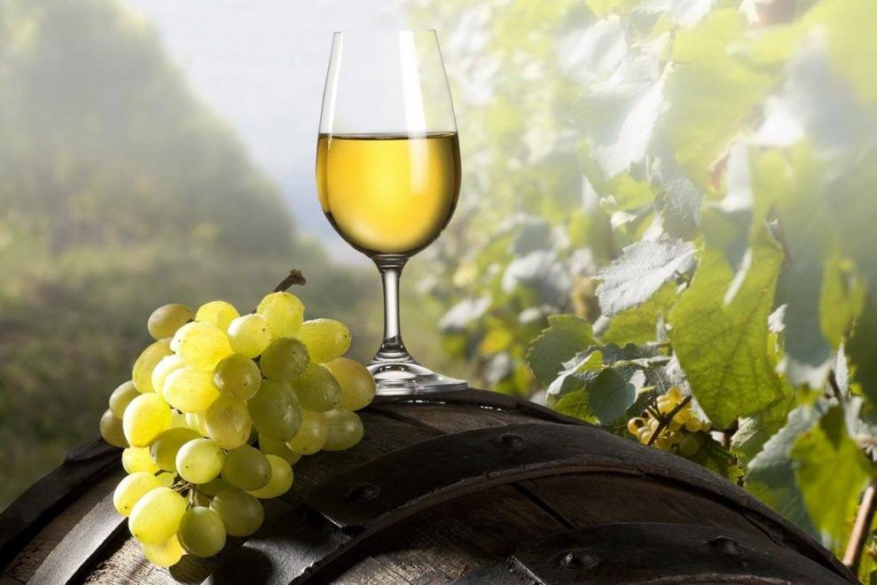 Восстанавливаем репутацию белого вина: польза и вред без купюр